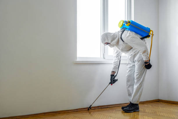 Best Commercial Pest Control Services  in Cortland, NY