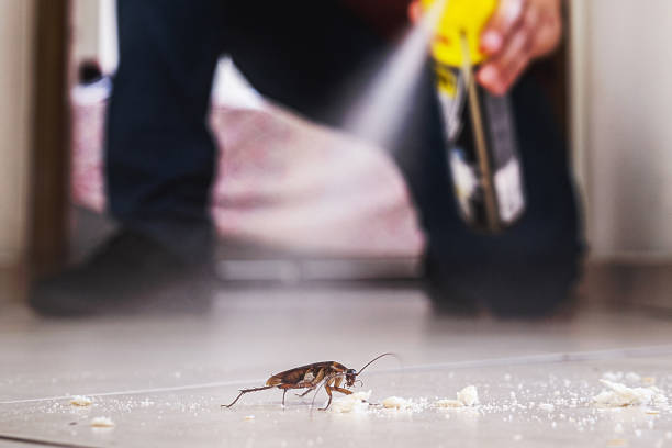 Best Flea Control Services  in Cortland, NY