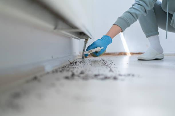 Best Insect Control  in Cortland, NY