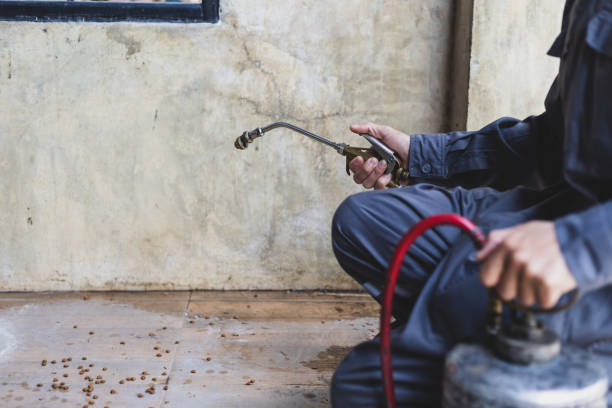 Best Affordable Pest Control Services  in Cortland, NY